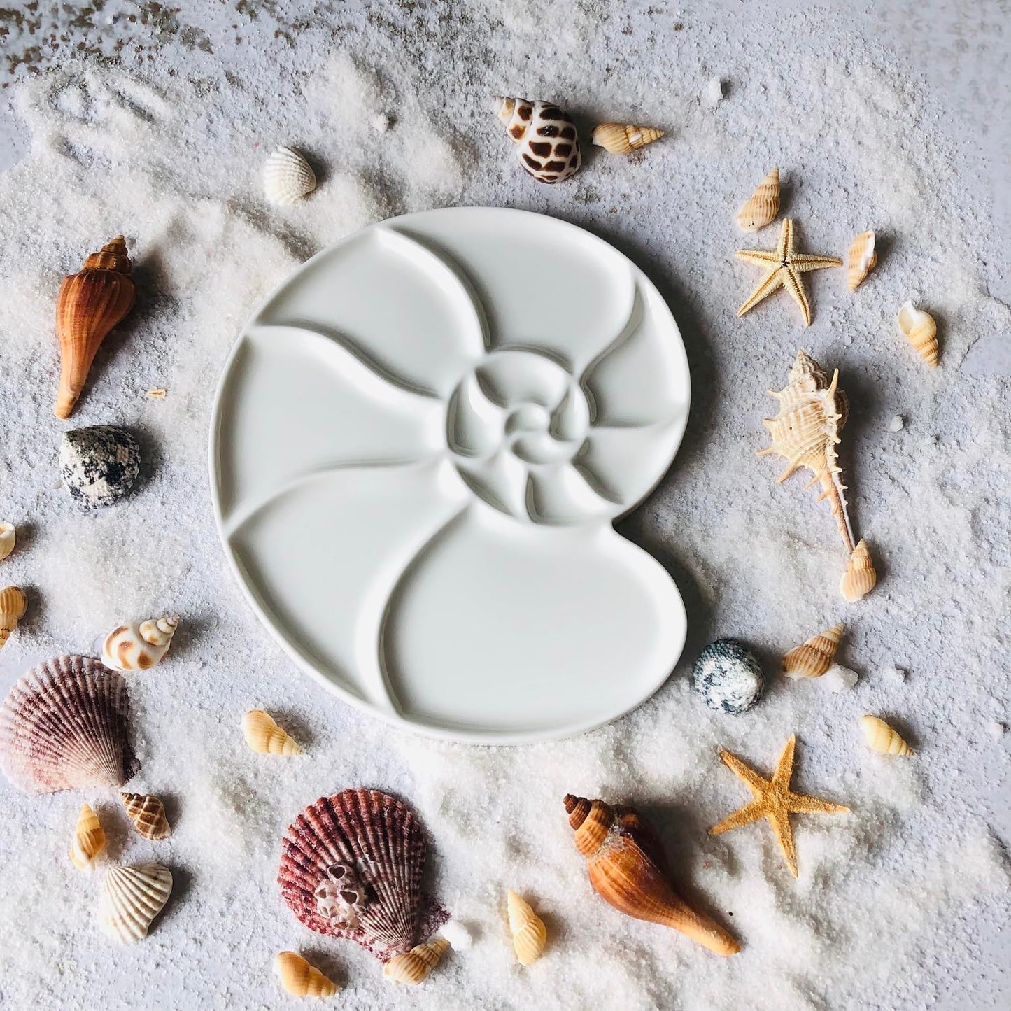 Bower Bird Ceramic Paint Palette Round Conch,Artist Professional Porcelain Watercolor Palette,Acrylic Gouache Watercolor Mixing Tray-6.7Inch